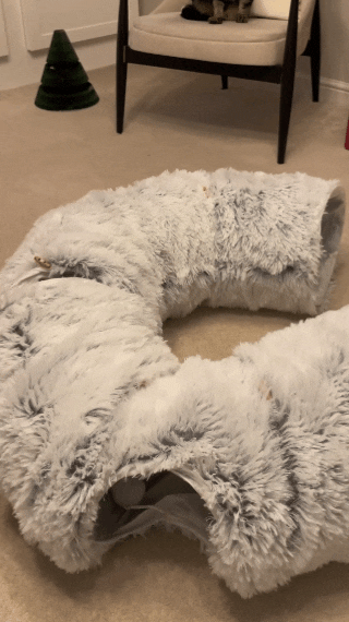 Cozy Kennel: Cozy Cat Tunnel & Bed