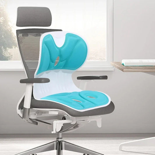 Comfy Posture Cushion